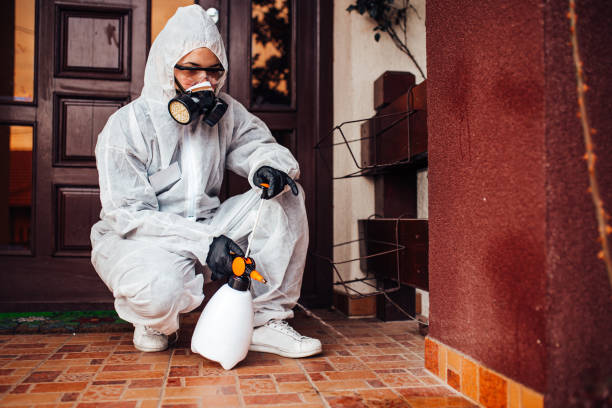 Reliable Fumigation Services contractor in South Windham, CT by Nex Pest Control