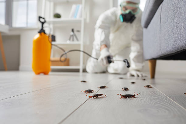 Trusted Fumigation Services service in South Windham, CT - Nex Pest Control