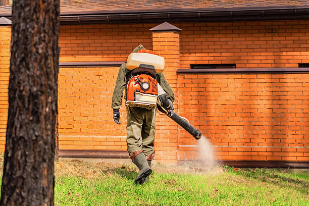 Trusted Bed Bug Control service in South Windham, CT - Nex Pest Control